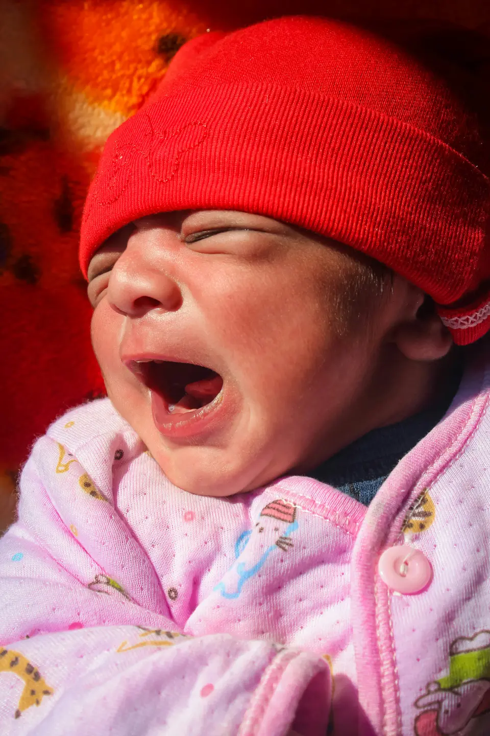 A South Asian baby in a red knit cap yawns widely with eyes scrunched shut, held by a caregiver in warm sunlight.
