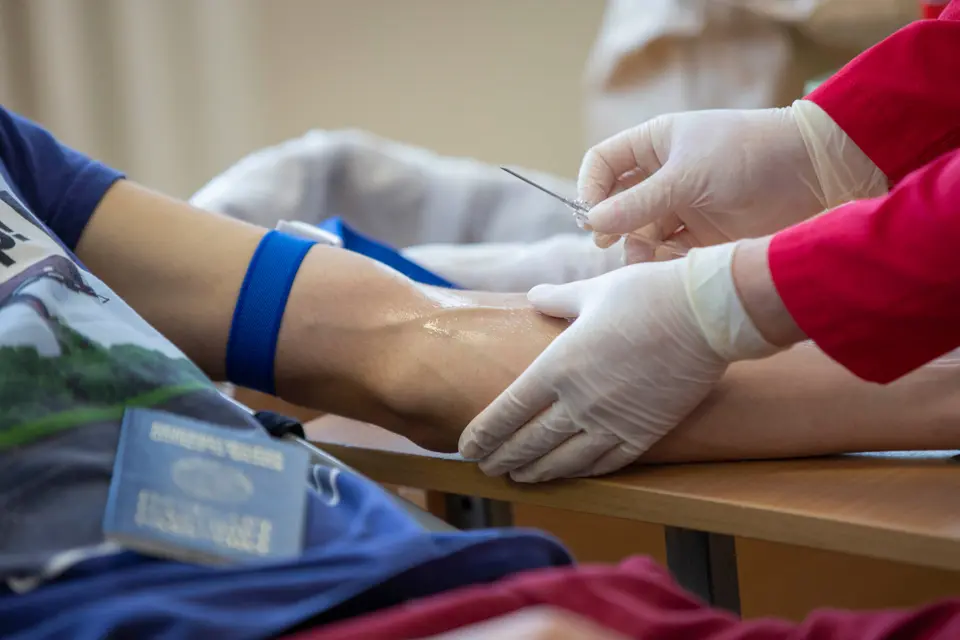 A gloved healthcare worker draws a blood sample from a patient's forearm using a butterfly needle.
